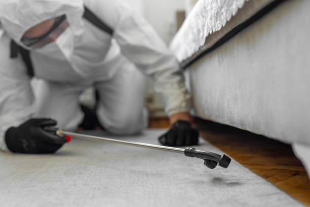 Professional Emergency Pest Control technician working in Alamosa East, CO